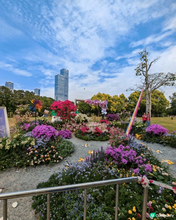 早前獨自北上去一個兔市集，原本想在鐵地走去深業上城，可惜原來...