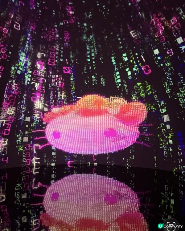 Hello Kitty Cosmos光影特展深圳站