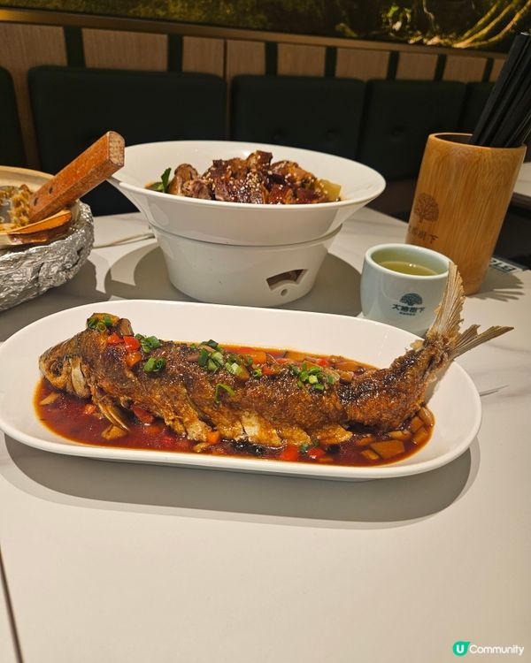 大榕樹下登陸希慎！順德菜必食🤤！