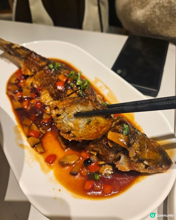 大榕樹下登陸希慎！順德菜必食🤤！