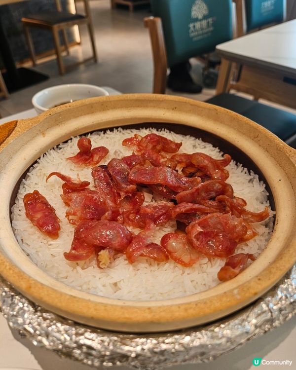 大榕樹下登陸希慎！順德菜必食🤤！