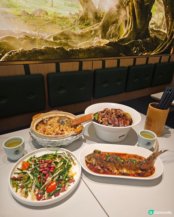 大榕樹下登陸希慎！順德菜必食🤤！