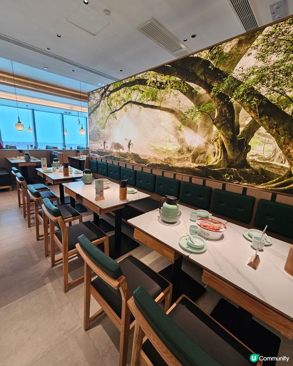 大榕樹下登陸希慎！順德菜必食🤤！