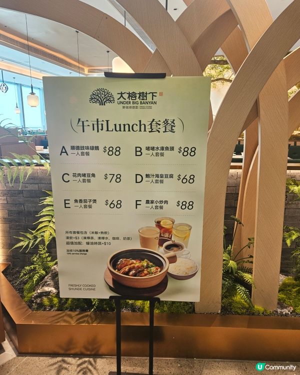 大榕樹下登陸希慎！順德菜必食🤤！