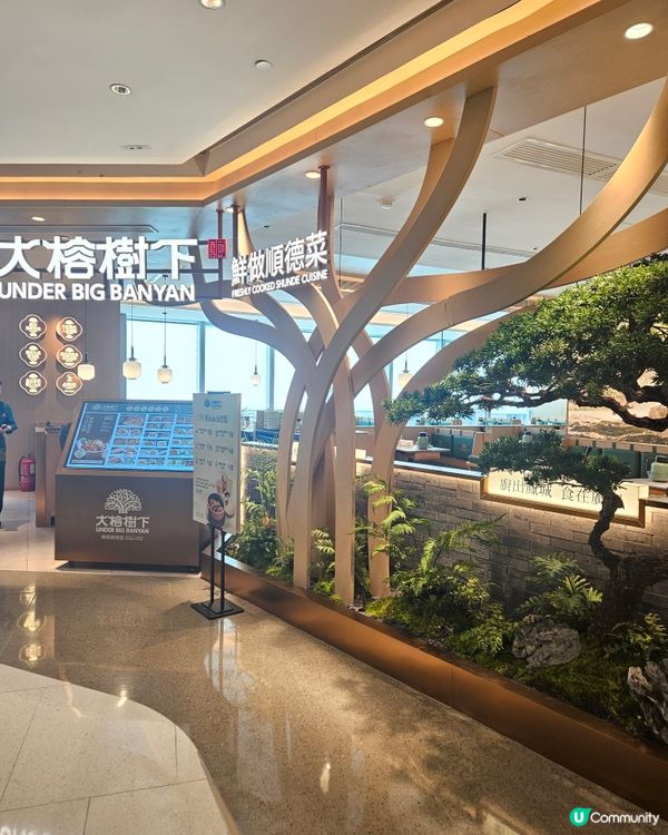 大榕樹下登陸希慎！順德菜必食🤤！