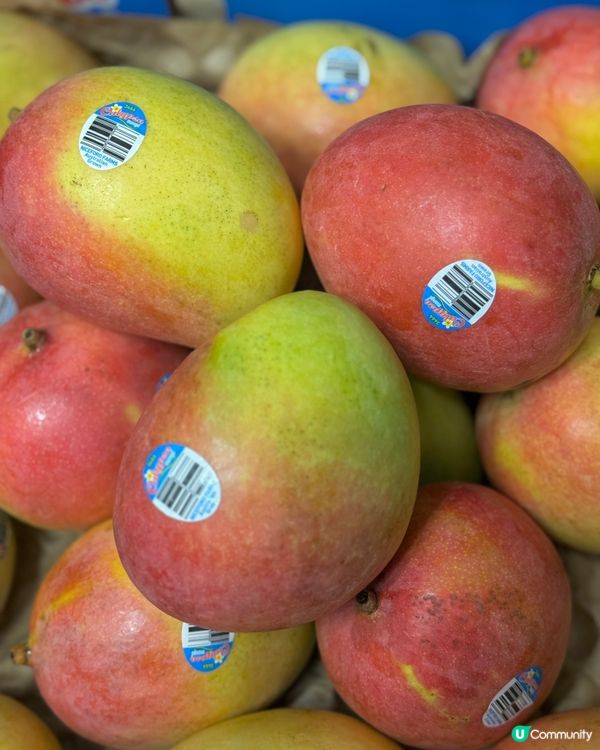 🥭澳洲 Calypso 芒果🥭