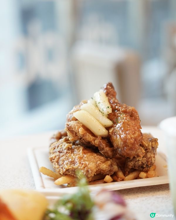 太古城狗狗友善餐廳 炸雞蛋包飯😋 帶埋毛孩去開餐 🐶
