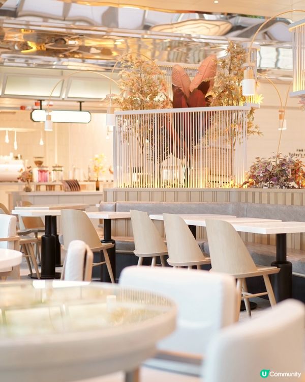 太古城狗狗友善餐廳 炸雞蛋包飯😋 帶埋毛孩去開餐 🐶