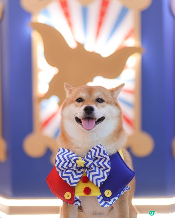 【Dumbo聖誕飛翔狂想曲】