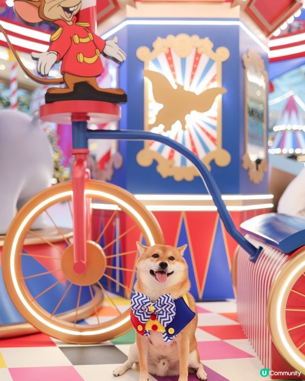 【Dumbo聖誕飛翔狂想曲】