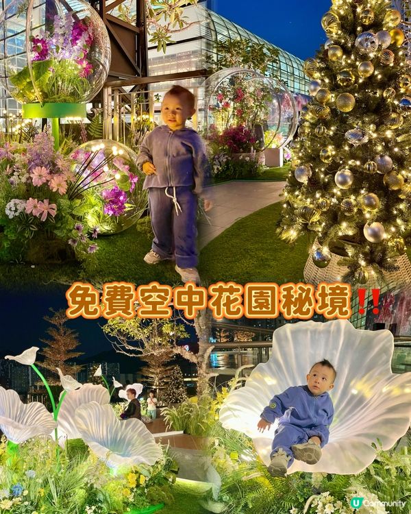 沉浸式聖誕水幕光影show必去✨