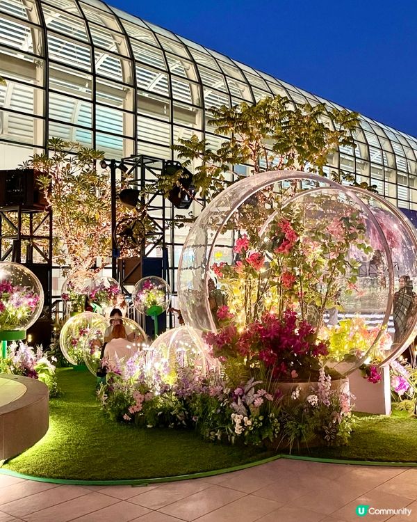 沉浸式聖誕水幕光影show必去✨