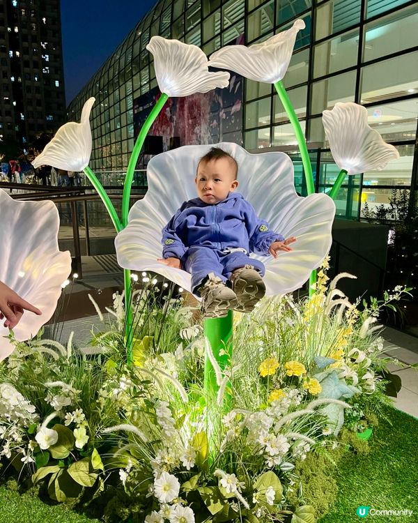 沉浸式聖誕水幕光影show必去✨