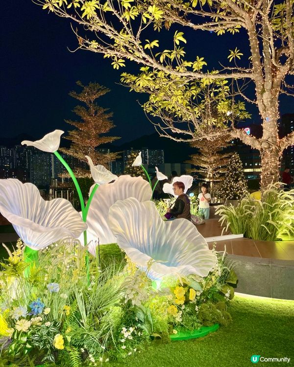 沉浸式聖誕水幕光影show必去✨