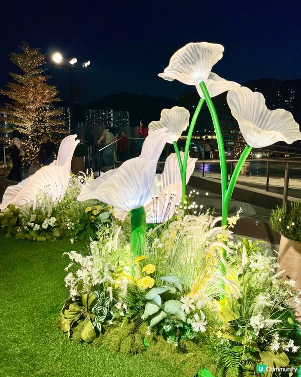 沉浸式聖誕水幕光影show必去✨