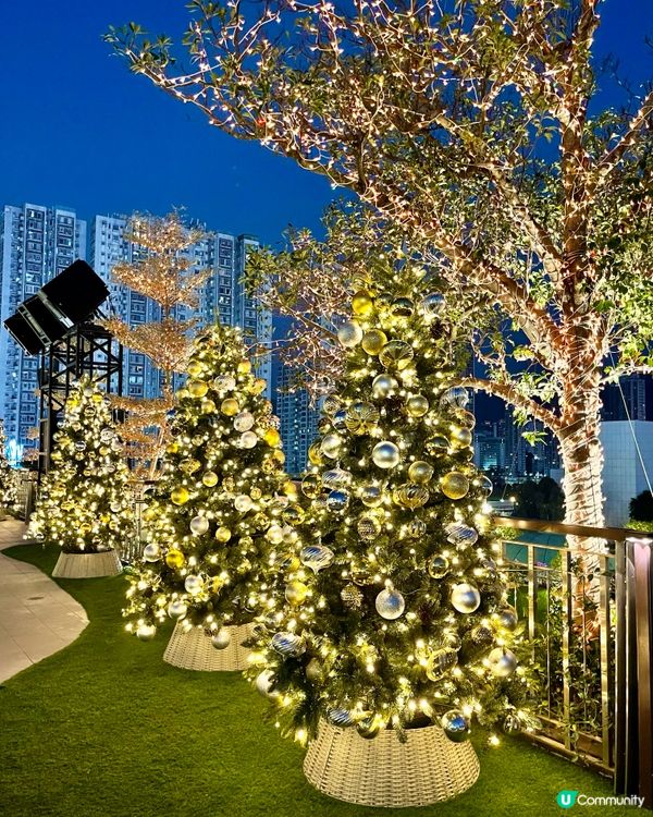 沉浸式聖誕水幕光影show必去✨