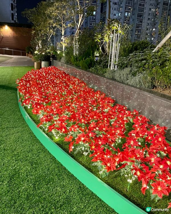 沉浸式聖誕水幕光影show必去✨