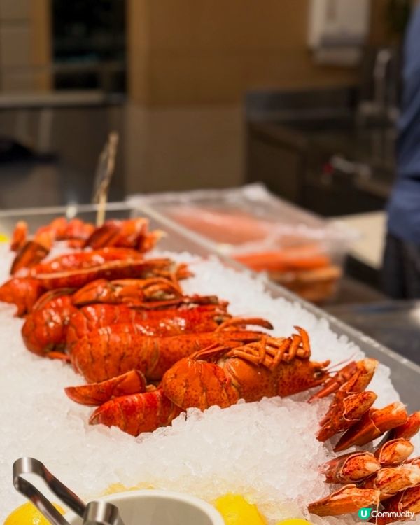 聖誕燈飾夜景自助餐！快閃優惠🤩搶！