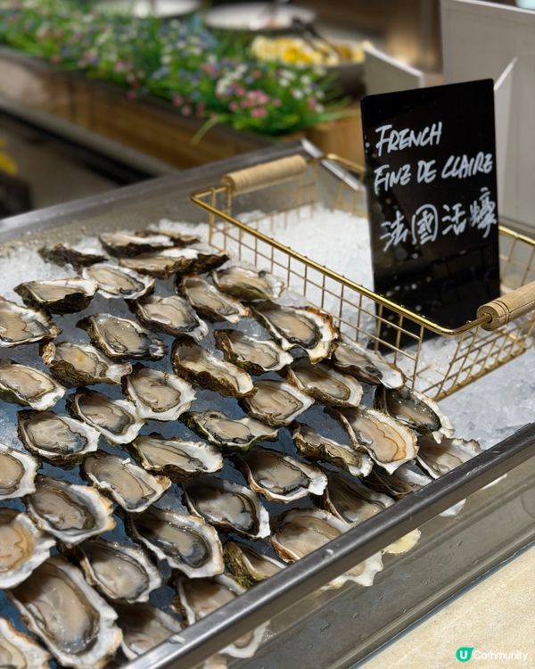 聖誕燈飾夜景自助餐！快閃優惠🤩搶！