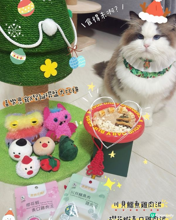 今日豬西推介| 【喜樂恩寵 x 聖誕擺盤大比拼】