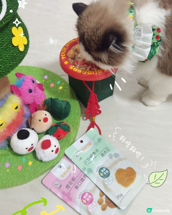 今日豬西推介| 【喜樂恩寵 x 聖誕擺盤大比拼】