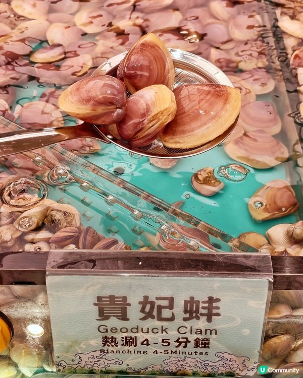 必食🤩鮮甜🌊馬刀貝