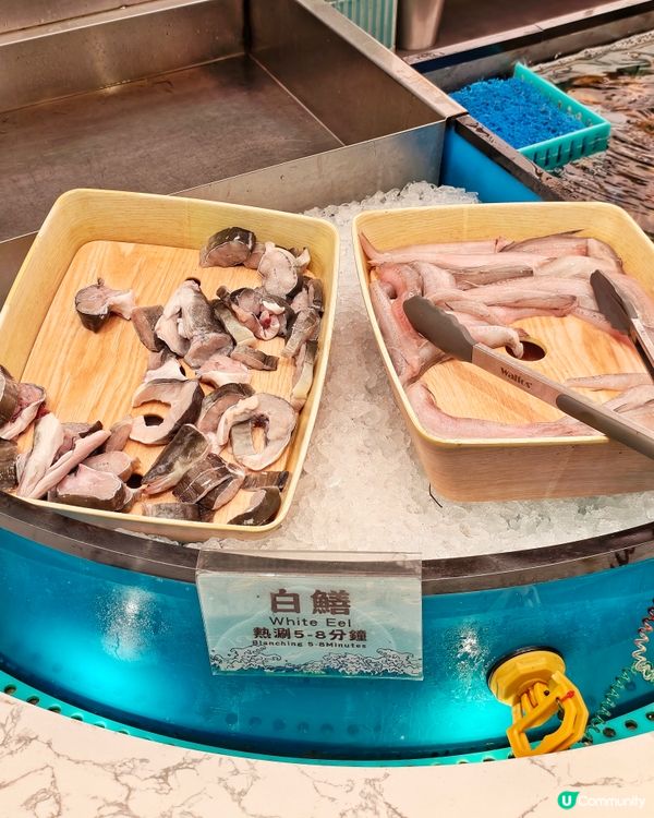 必食🤩鮮甜🌊馬刀貝