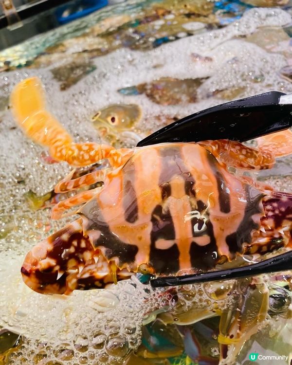 九龍灣➡️➡️➡️千海水產海鮮火鍋放題