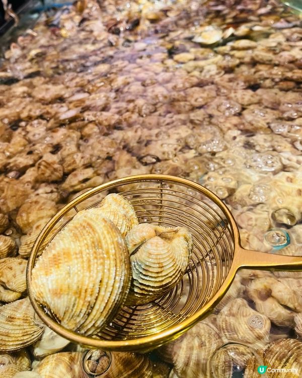 九龍灣➡️➡️➡️千海水產海鮮火鍋放題