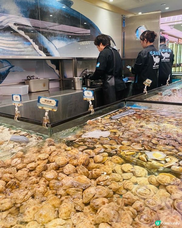 九龍灣➡️➡️➡️千海水產海鮮火鍋放題