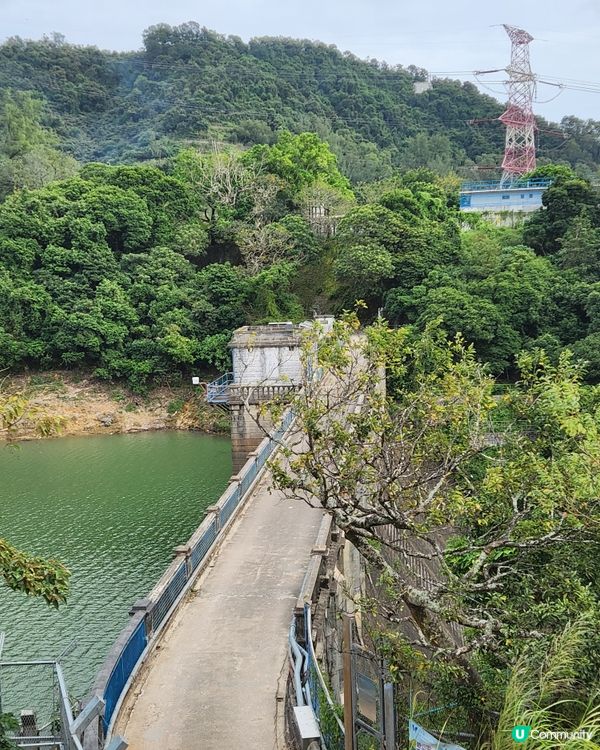 金山郊野公園🐒 睇馬騮、行水塘🏞️！
