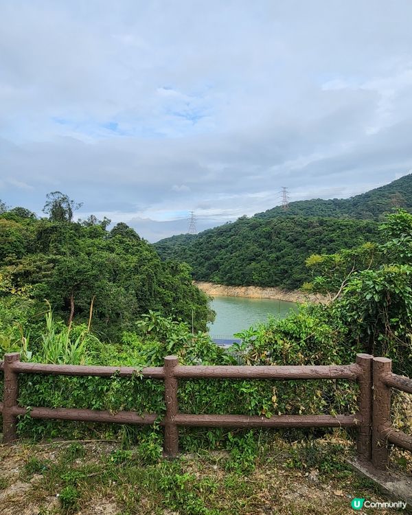 金山郊野公園🐒 睇馬騮、行水塘🏞️！