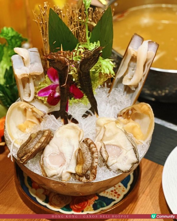 太子暖心鹿角靈芝養生火鍋🍄‍🟫