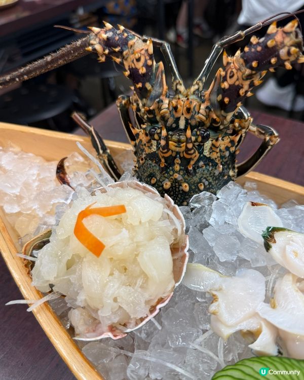 泊港市場海鮮🤤！龍蝦刺身超正！🦞