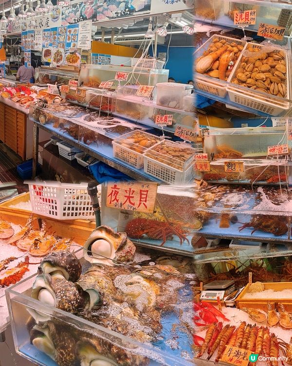 泊港市場海鮮🤤！龍蝦刺身超正！🦞