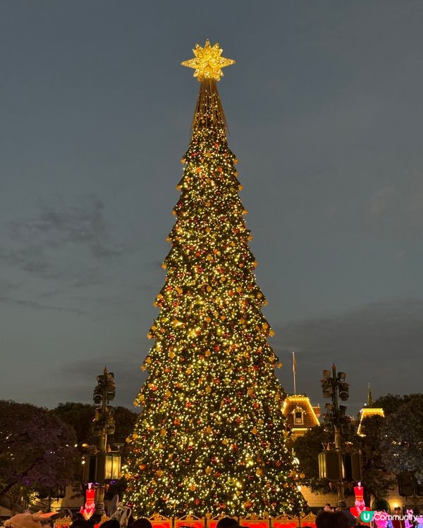 今年迪士尼聖誕樹🎄勁靚！快啲去打卡📸！