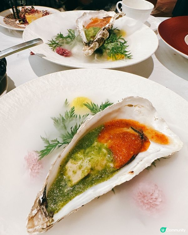 深圳慶祝必去！獅拾久高質抵食🤤