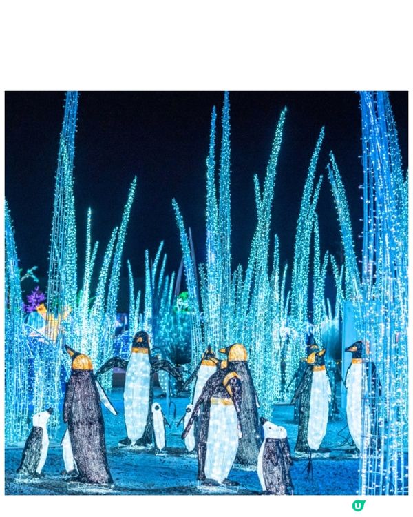 香港光影樂園嚟啦！Festilumi 沉浸式光影樂園✨️