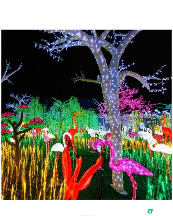 香港光影樂園嚟啦！Festilumi 沉浸式光影樂園✨️