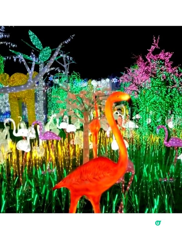 香港光影樂園嚟啦！Festilumi 沉浸式光影樂園✨️