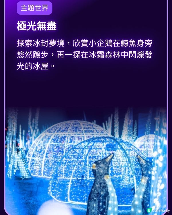 香港光影樂園嚟啦！Festilumi 沉浸式光影樂園✨️