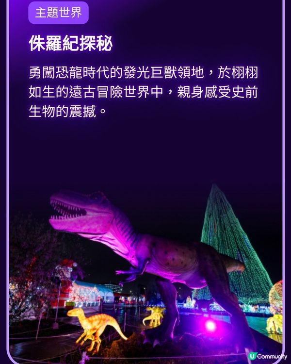 香港光影樂園嚟啦！Festilumi 沉浸式光影樂園✨️