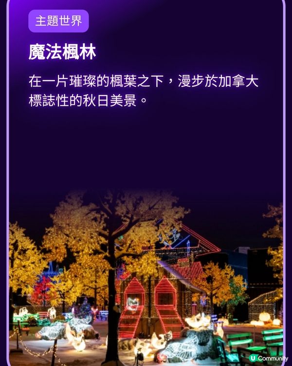 香港光影樂園嚟啦！Festilumi 沉浸式光影樂園✨️