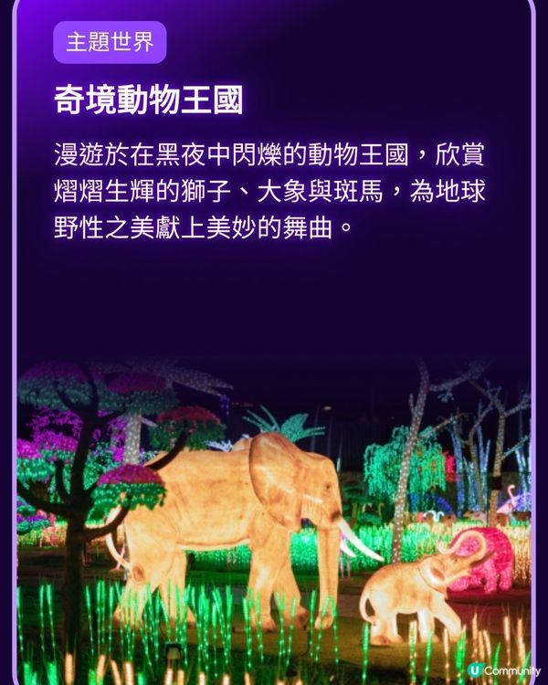 香港光影樂園嚟啦！Festilumi 沉浸式光影樂園✨️