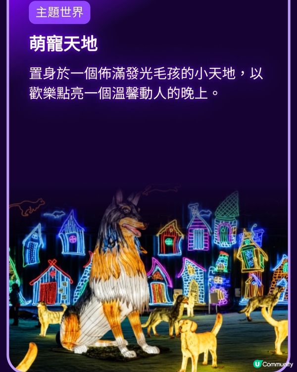 香港光影樂園嚟啦！Festilumi 沉浸式光影樂園✨️