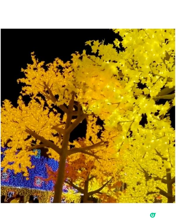 香港光影樂園嚟啦！Festilumi 沉浸式光影樂園✨️