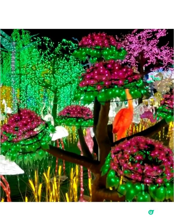 香港光影樂園嚟啦！Festilumi 沉浸式光影樂園✨️