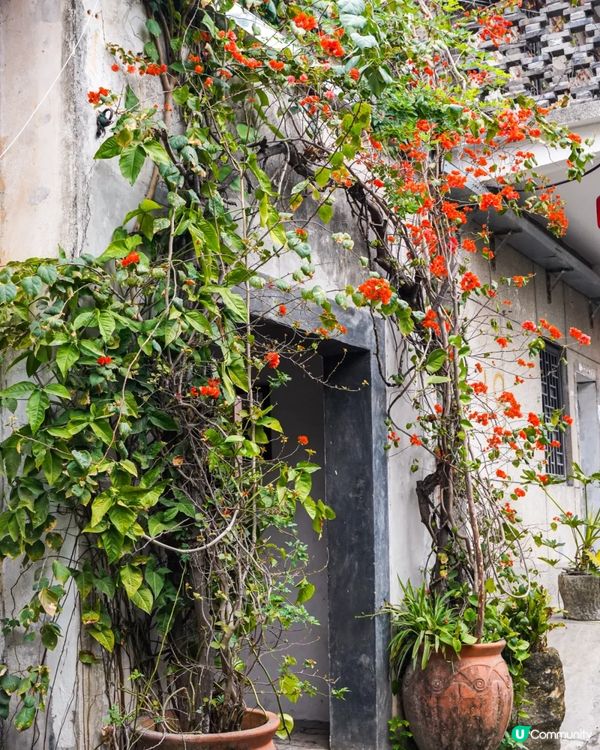 深圳龍崗甘坑古鎮9大打卡點介紹📷帶你走進350年歷史客家村落🍃