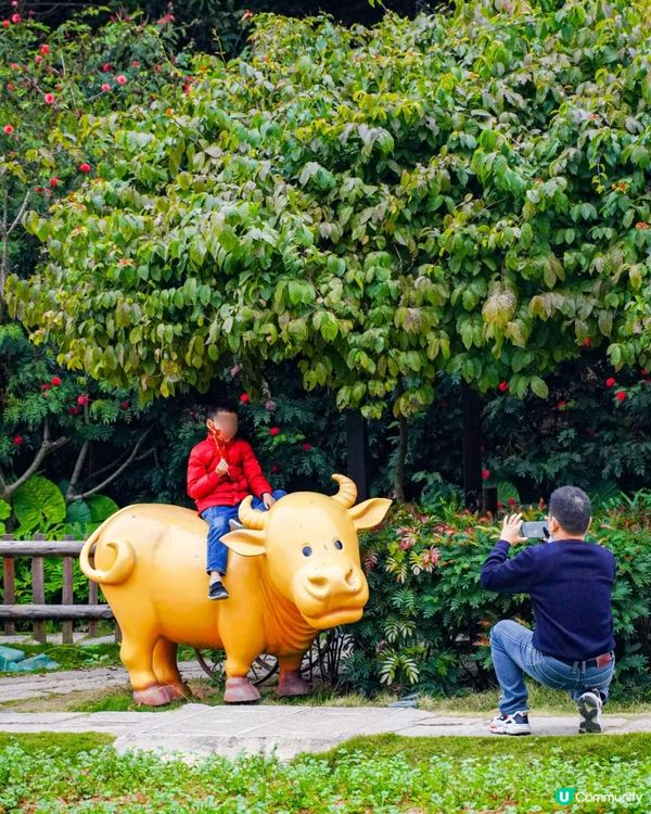 深圳龍崗甘坑古鎮9大打卡點介紹📷帶你走進350年歷史客家村落🍃