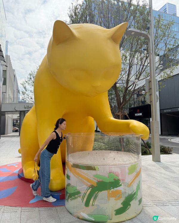 深圳萬象城藝術品打卡位🐱
